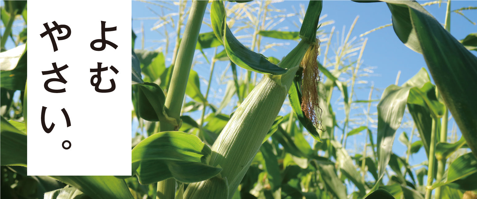 vol. 1|大地の恵みをたっぷり受けて、すくすくと育ったとうもろこしが、おいしいスープになるまでの物語。