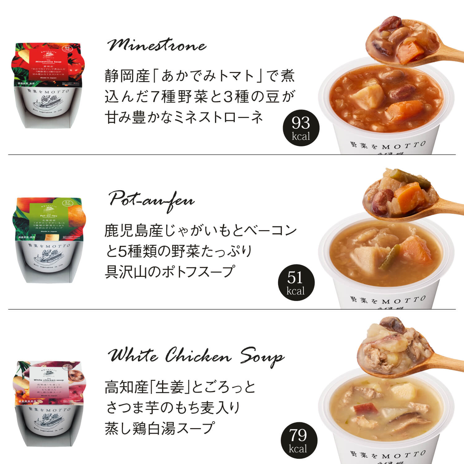 【予約商品2月以降発送】野菜ごろごろ6個セット(送料無料)