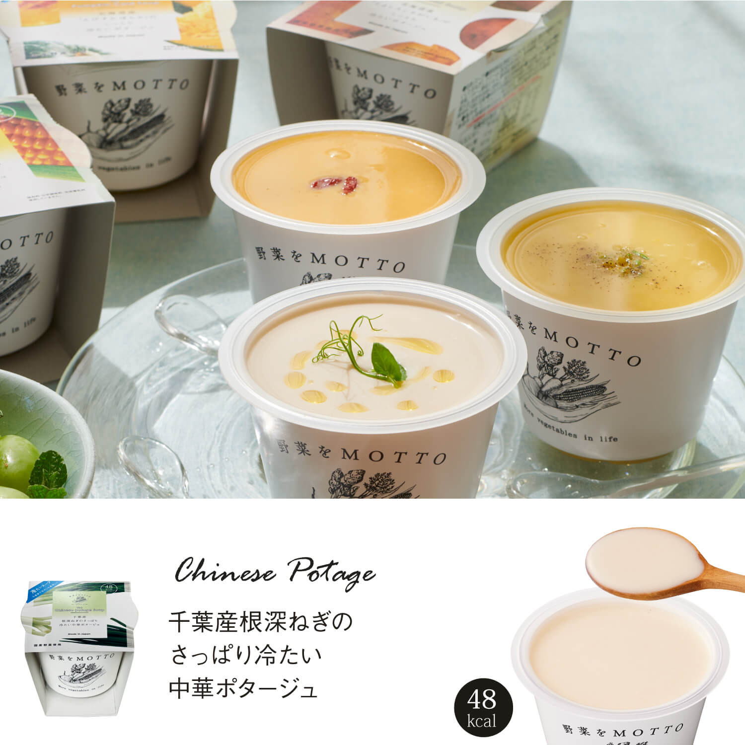【送料無料】 11周年創業祭限定スープ12個セット※配送日指定不可商品