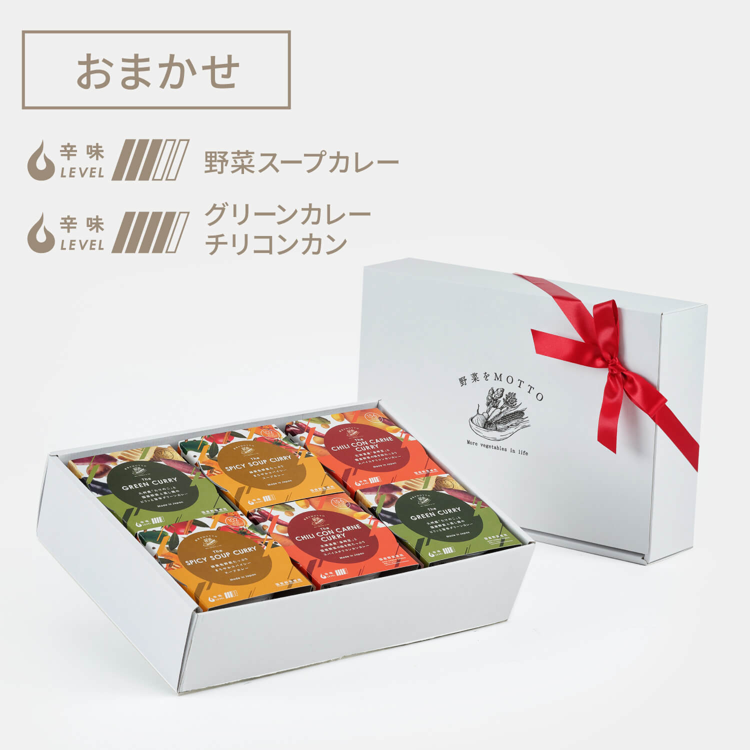 ふるさと納税 旭川市 スープカレーセット(6食入り)_00560 スープカレーセット(6