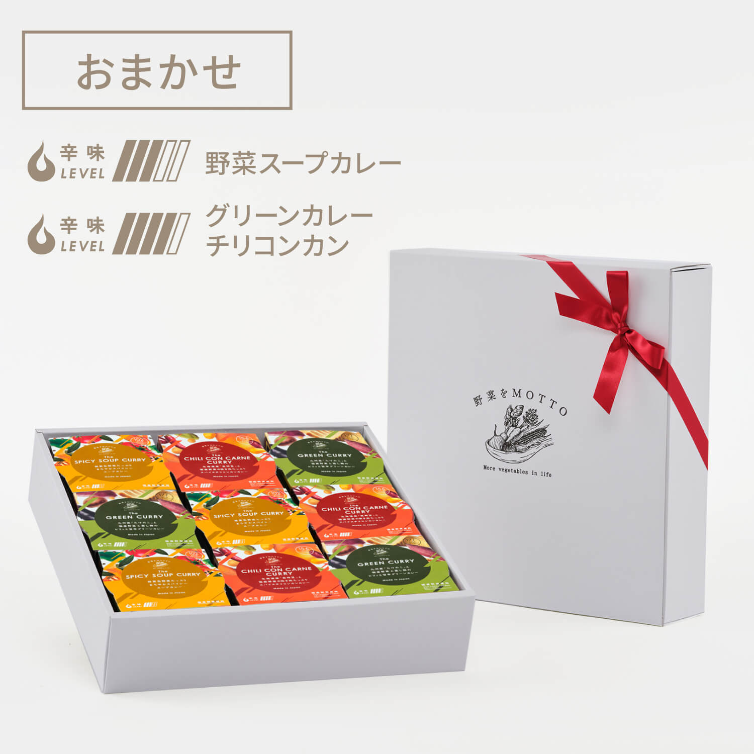 カレースープ9個ギフトセット