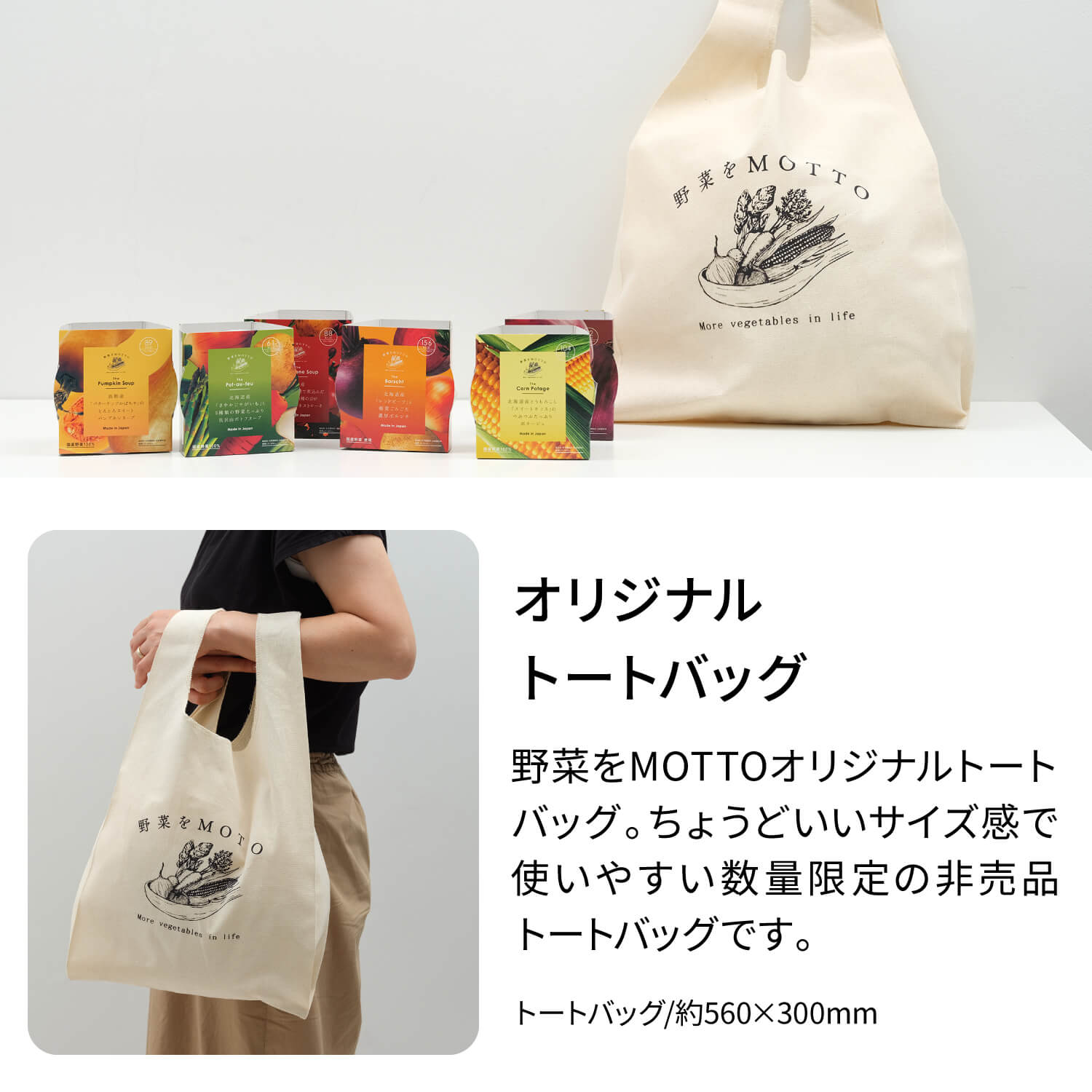 2026 福箱 スープ12個【送料無料】