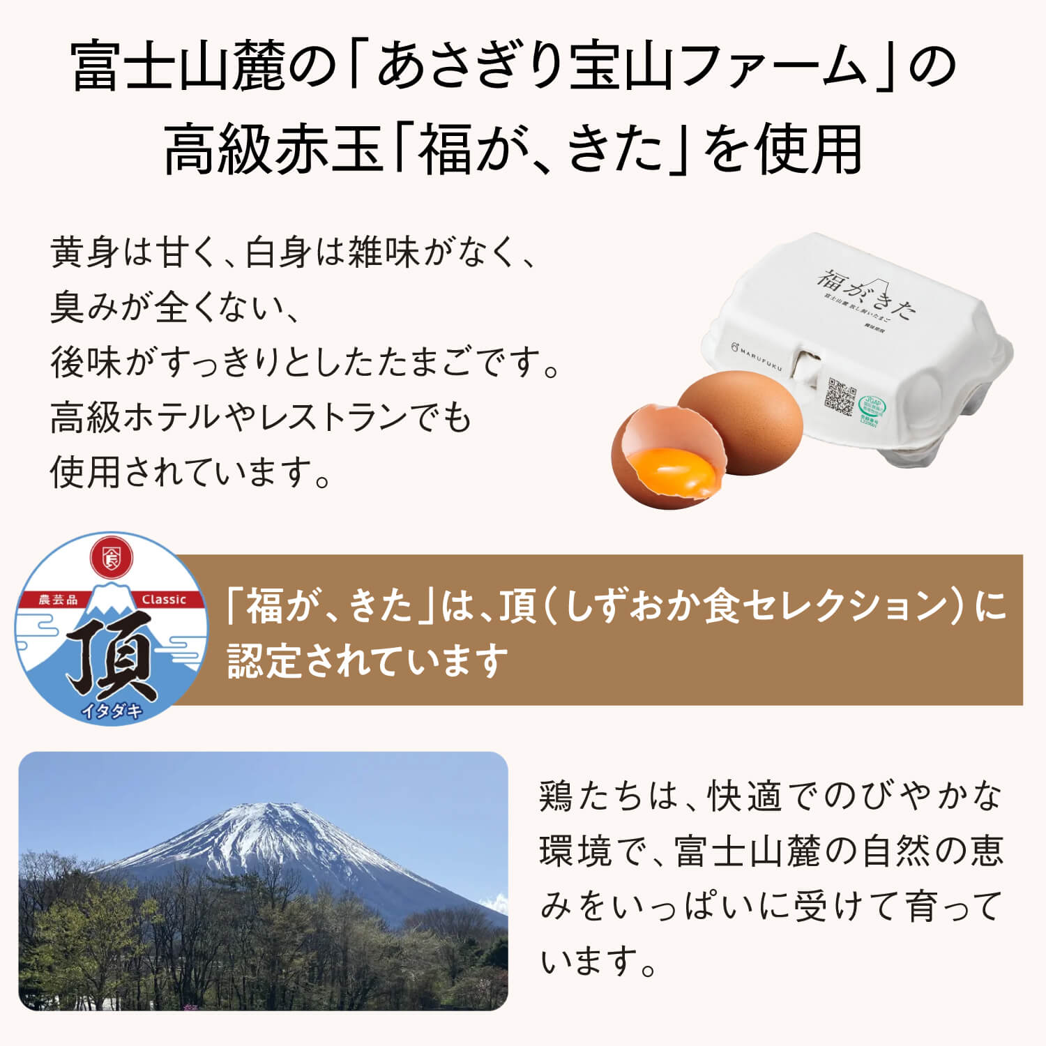 【送料無料】ツナ缶&スープセット 厳選マヨネーズ付