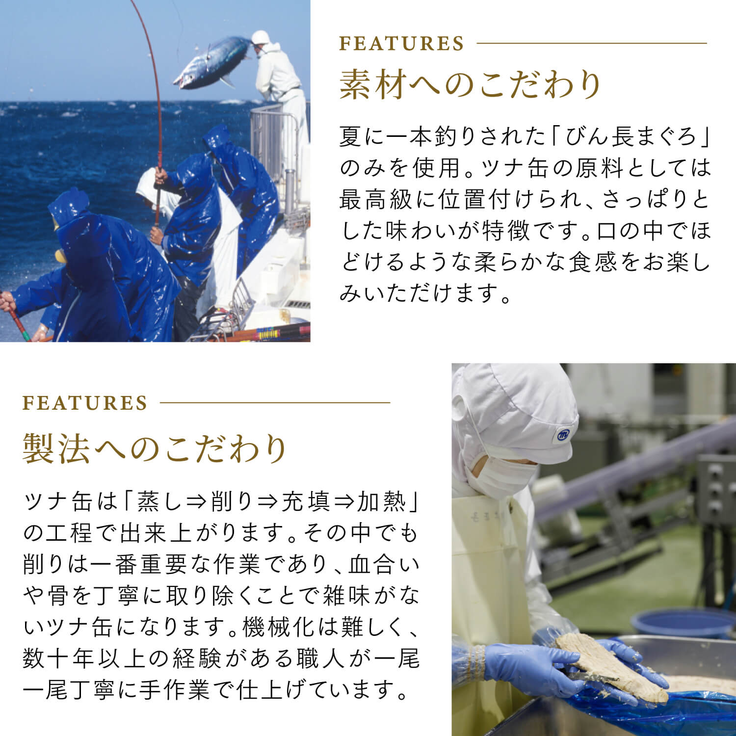 【送料無料】ツナ缶＆スープセット 厳選マヨネーズ付